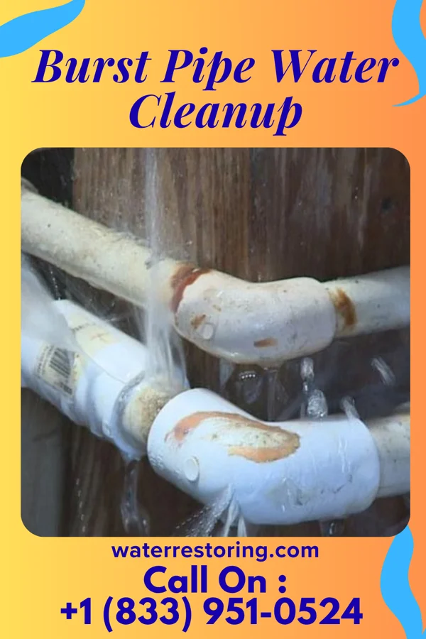 Burst Pipe Water Cleanup in Mountainburg, AR
